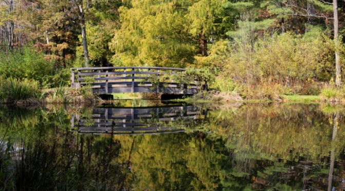 Our Visit To Leonard J Buck Garden