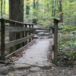 Our Visit To Sourland Mountain Preserve Hiking in NJ