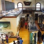 Our Visit To Rutgers Geology Museum