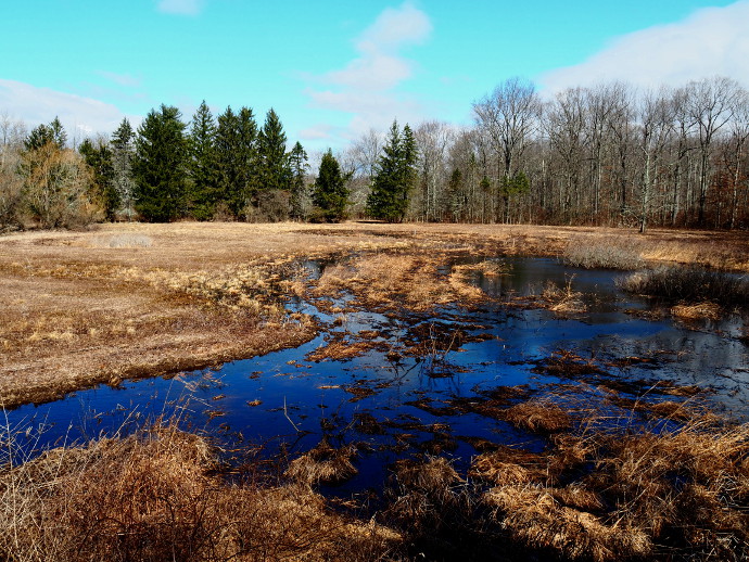 Our Visit To Great Swam National Wildlife Refuge