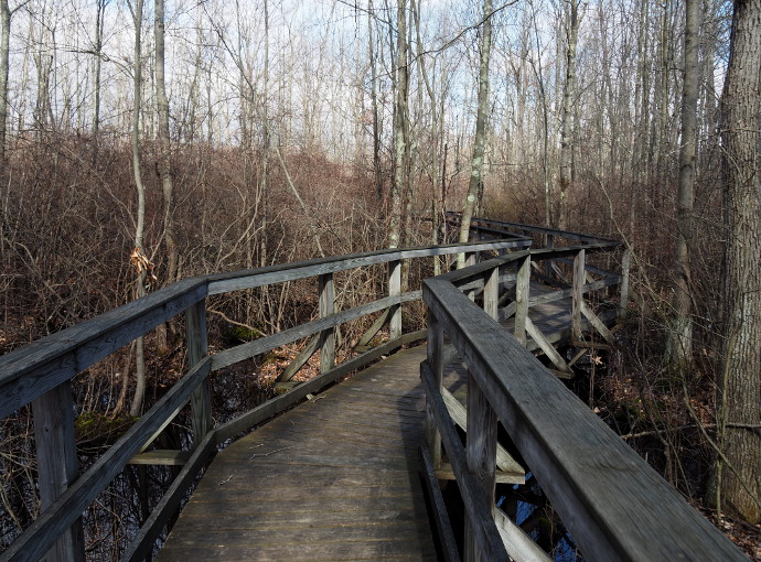 Our Visit To Great Swam National Wildlife Refuge