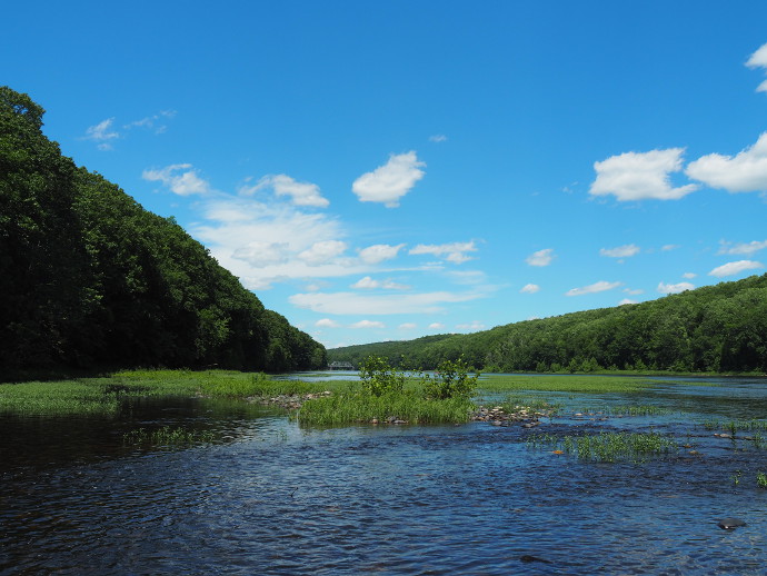 Our Visit To Dingmans Campground