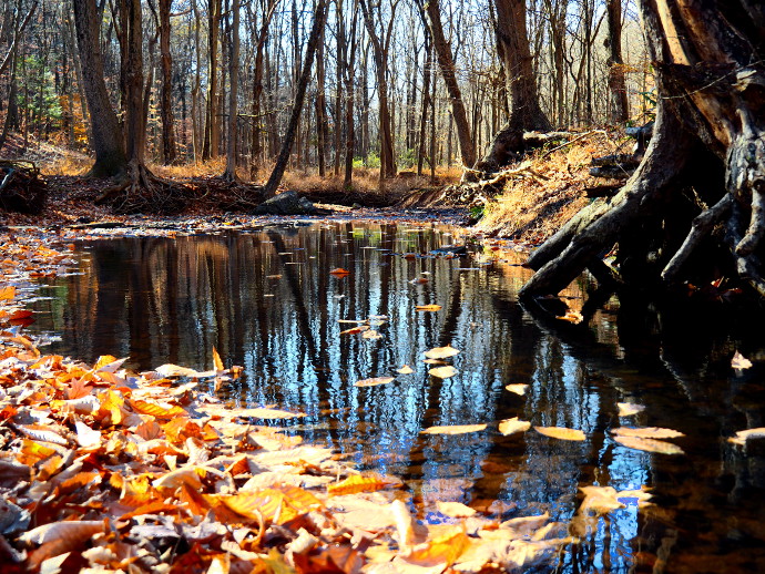 Our visit to Watchung Reservation