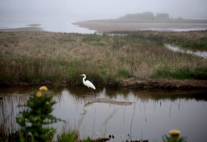 Our Visit To Washington DC and Chincoteague Island