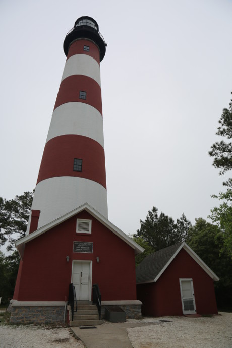 Our Visit To Washington DC and Chincoteague Island