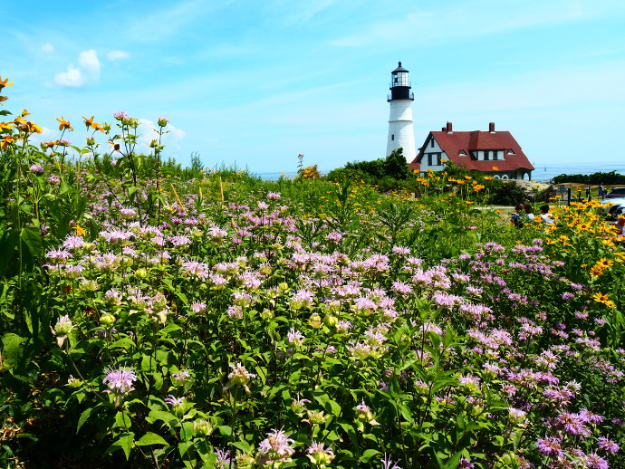 Our Trip To Maine