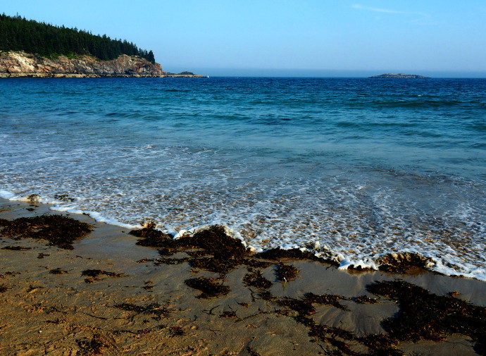 Sand Beach Acadia National Park