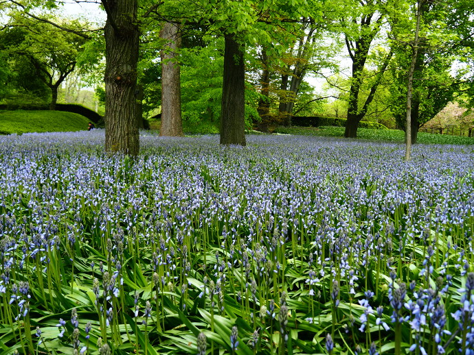 Our Visit To Brooklyn Museum and Brooklyn Botanical Garden