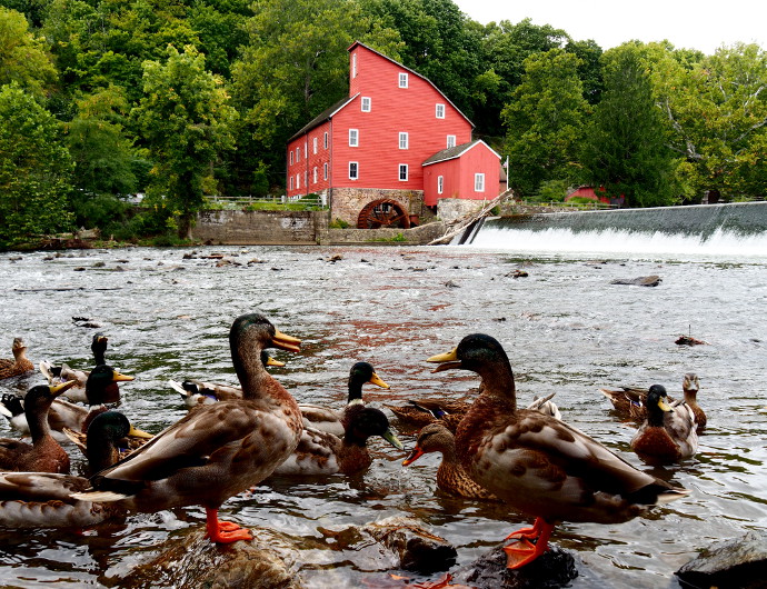 The Red Mill Museum