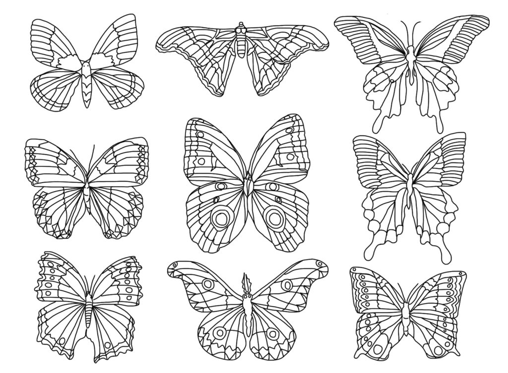 Butterfly Coloring page