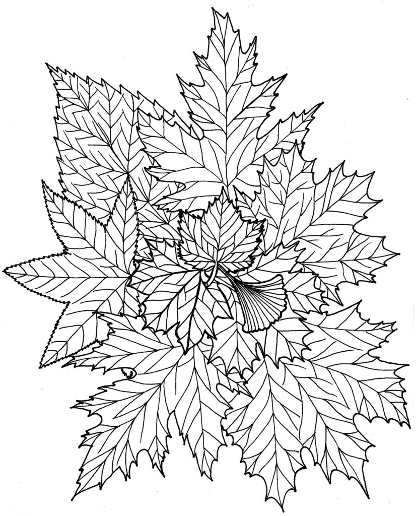 Autumn Coloring Pages