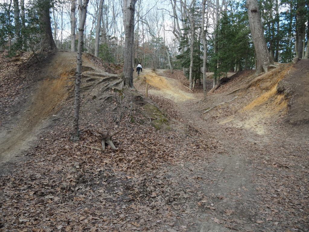 Our Visit to Allaire State Park