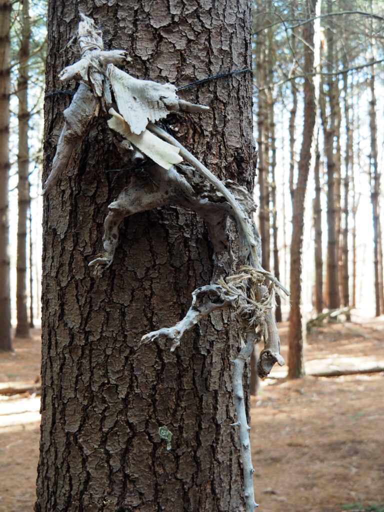 Our Visit to Allaire State Park