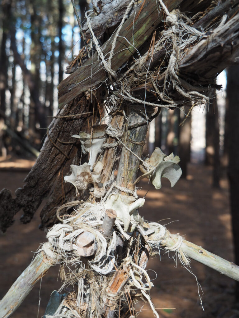 Our Visit to Allaire State Park