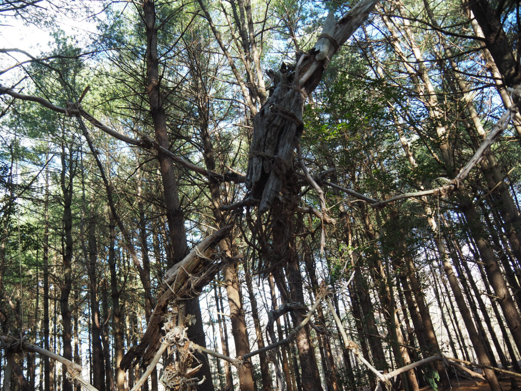 Our Visit to Allaire State Park