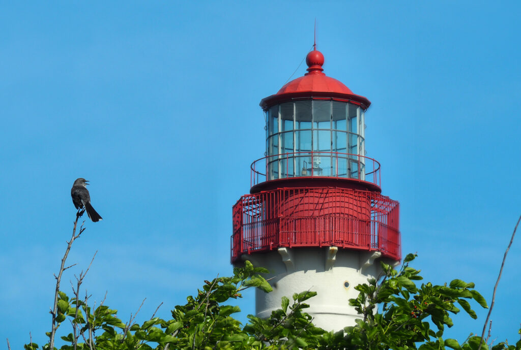 Our visit to Cape May