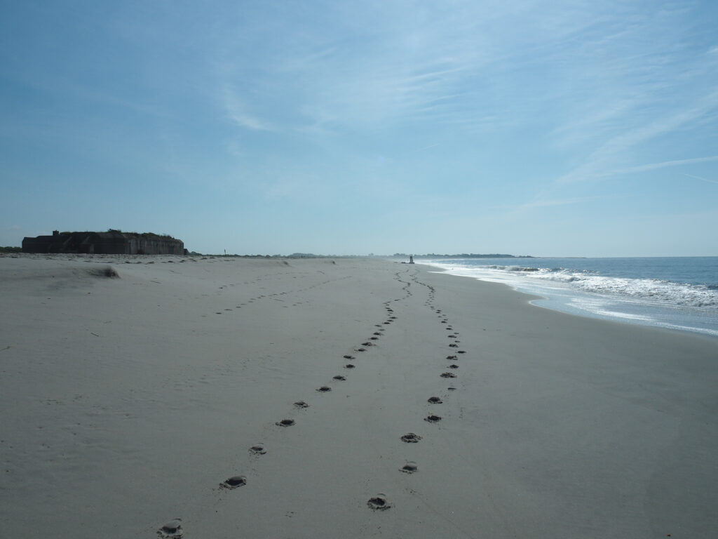 Our visit to Cape May