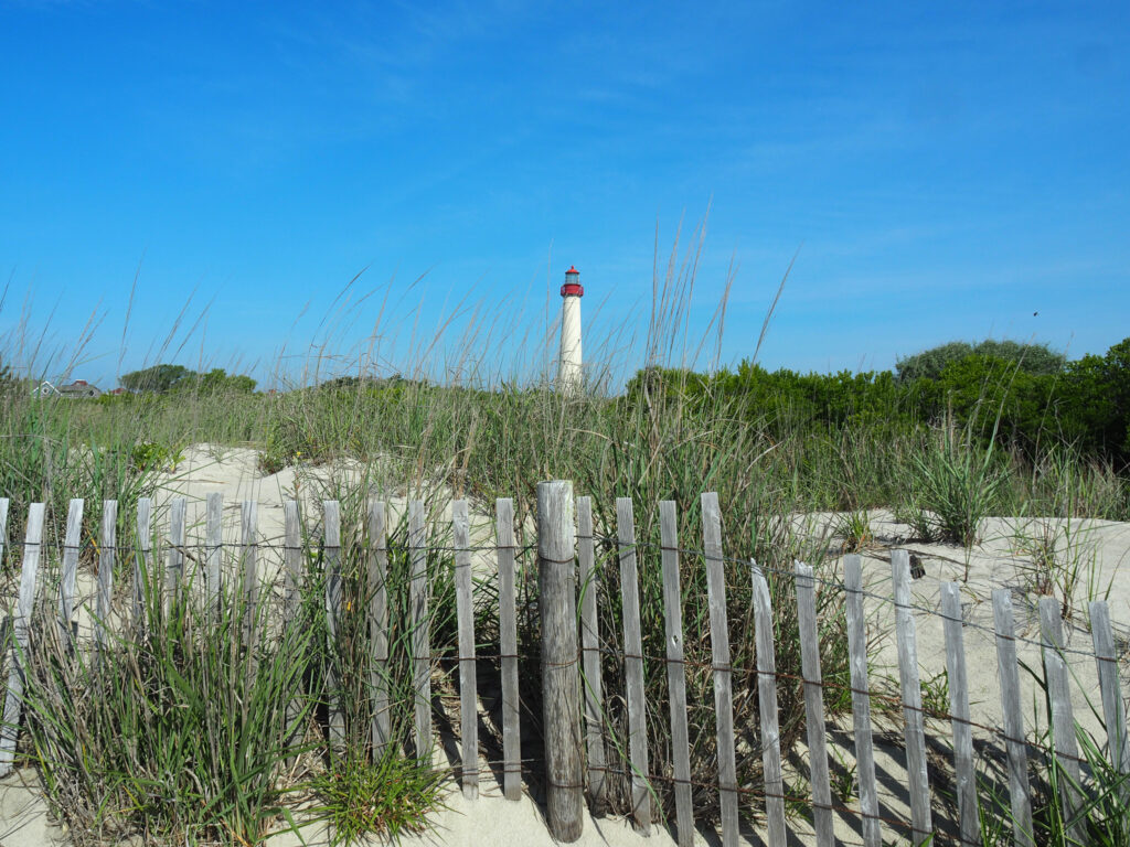 Our visit to Cape May