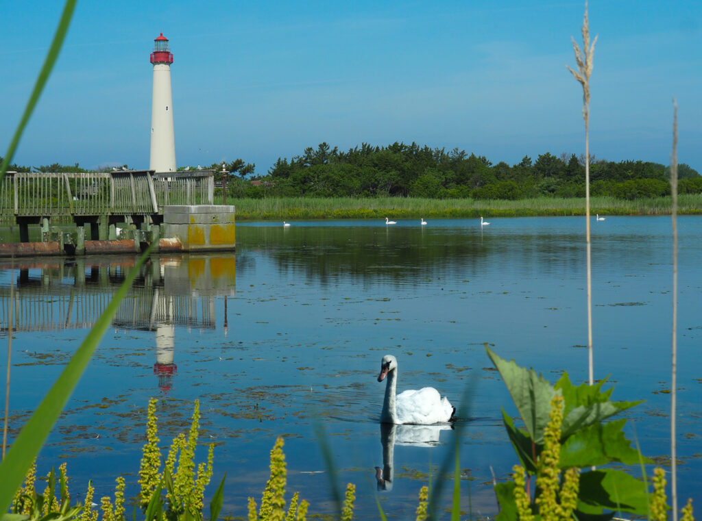 Our visit to Cape May