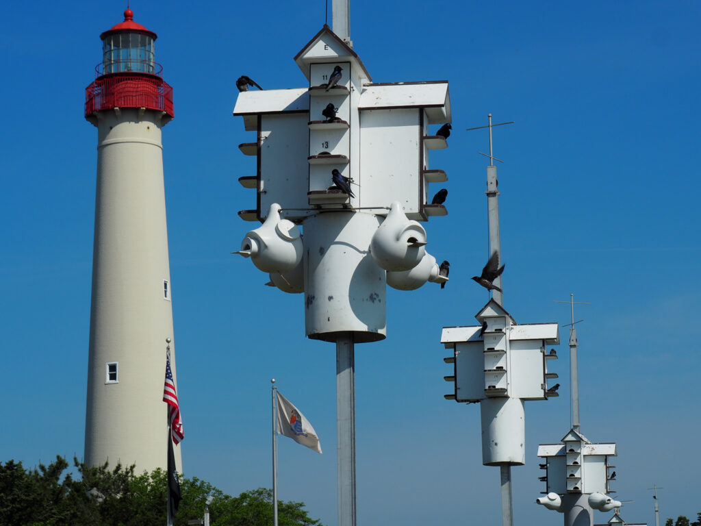 Our visit to Cape May